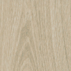 plank-white