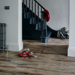 aged_oak_header_pic_1114068267