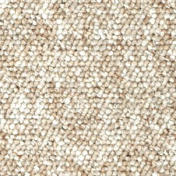 berberbeige300