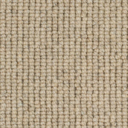 causeway-carpets-nature-earth-sand-dune