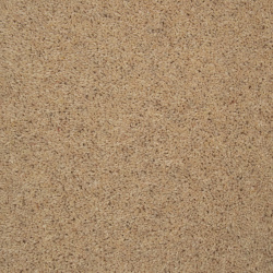 cornsilk