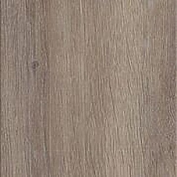 harbour_oak