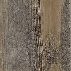 sun_bleached_spruce