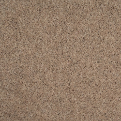 taupe_1313007383