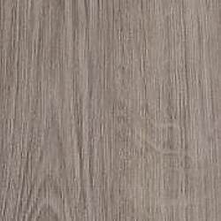 winter_oak